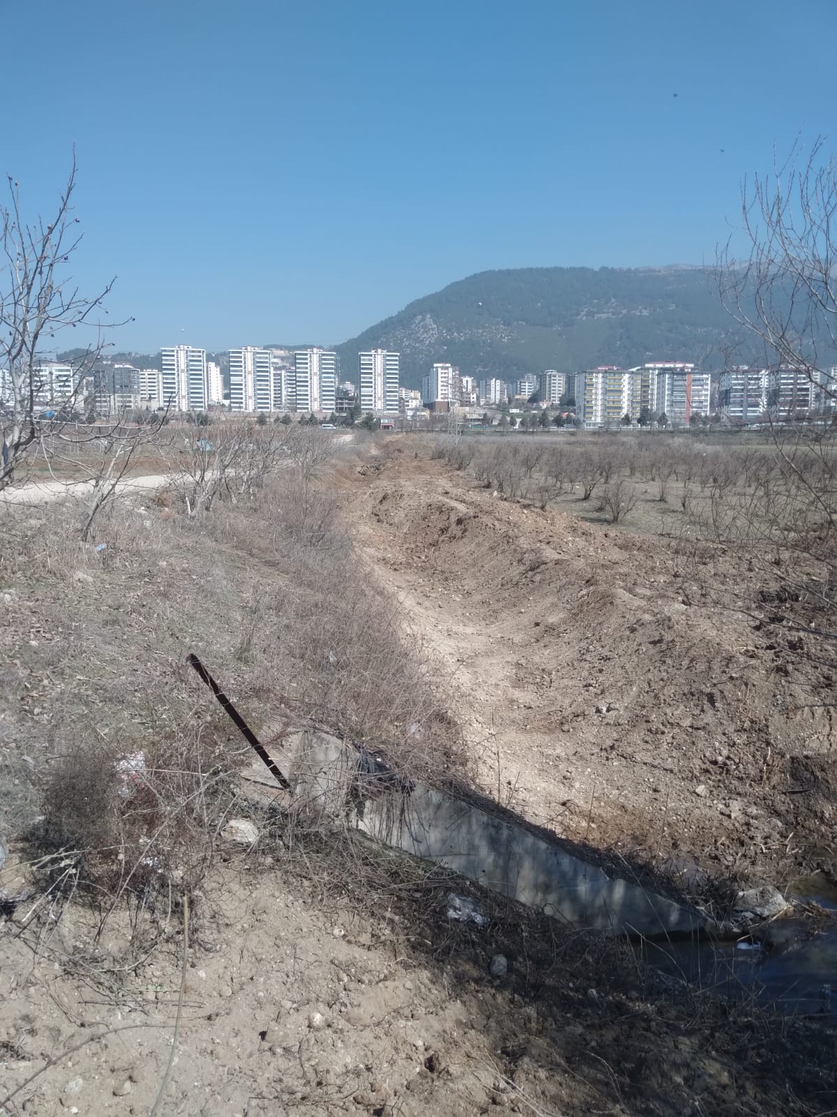 İçerikle ilgili görsel 1